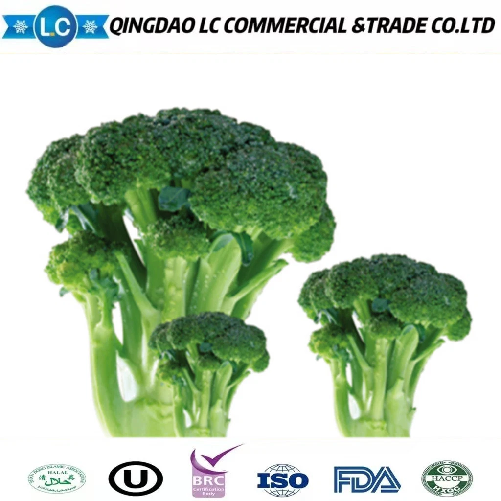 Nuevo cultivo de brócoli verde congelado IQF chino de alta calidad y bajo precio