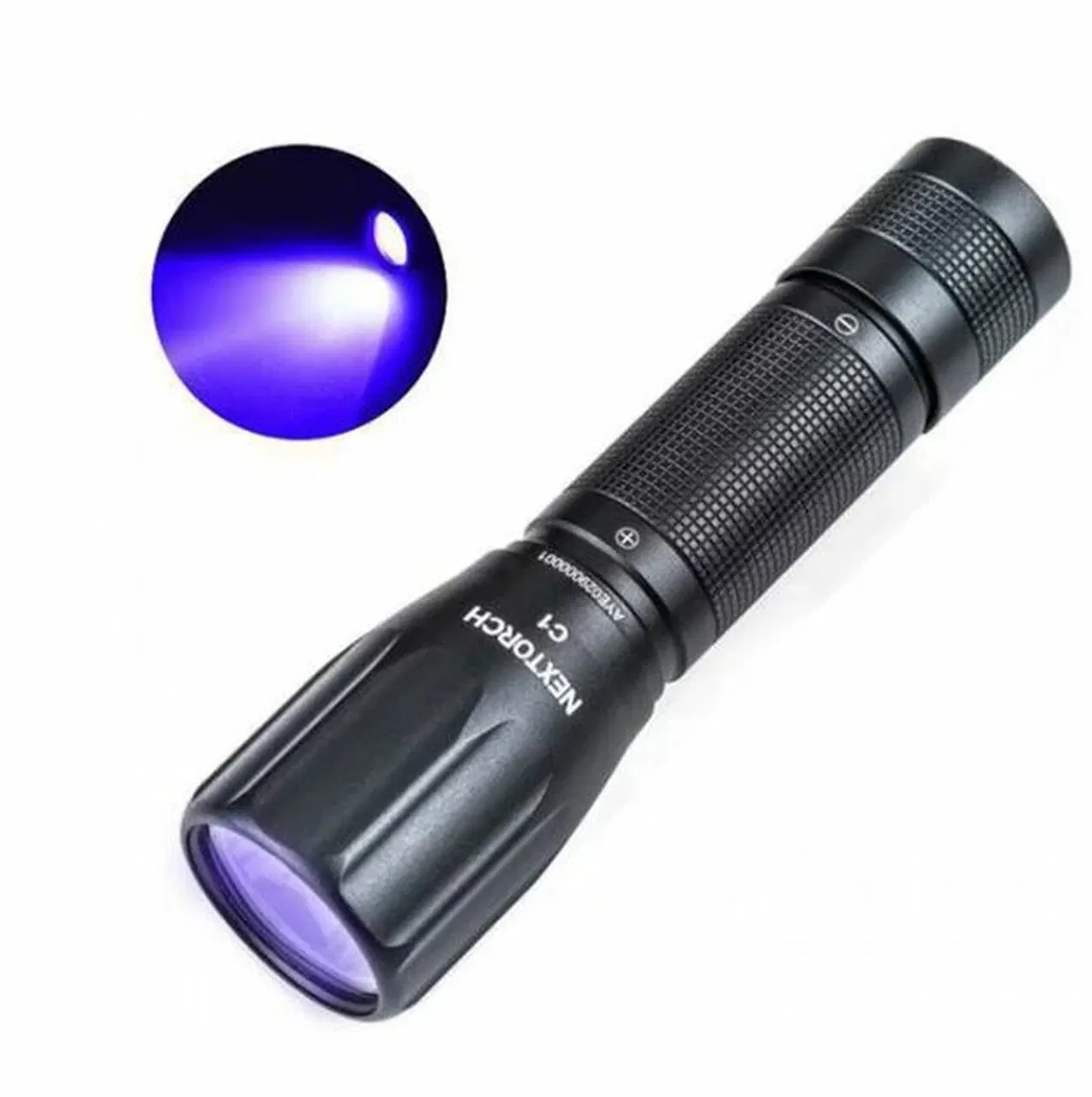 Luz de flash UV LED Mini Pocket Blacklight 365nm encuentra orina de Escorpión Corporal