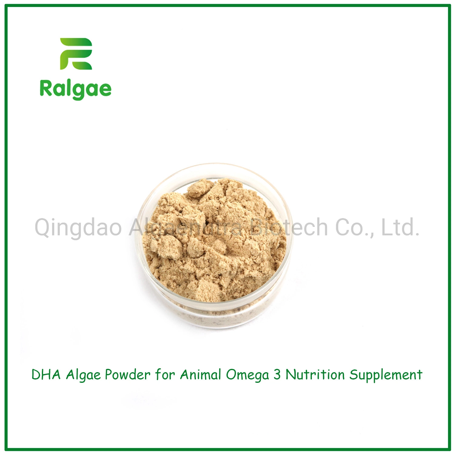 Microalgae Schizochytrium Powder Feed Grade 18% DHA for Pet Nutrition Supplements CAS6217-54-5