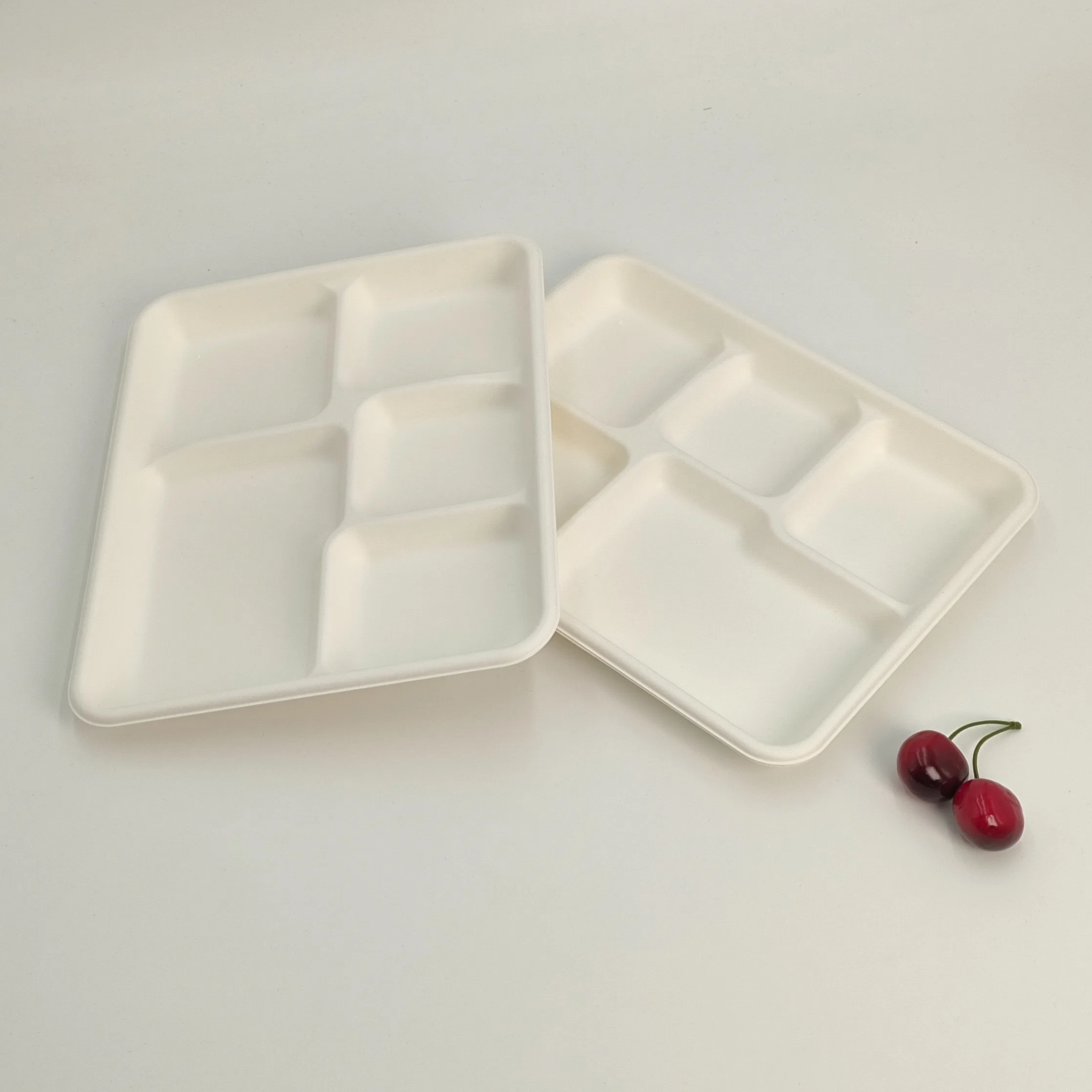 100% Biodegradable Compostable Paper Sugarcane Pulp Food Container Dessert Bagasse Tray with 5 Compartment