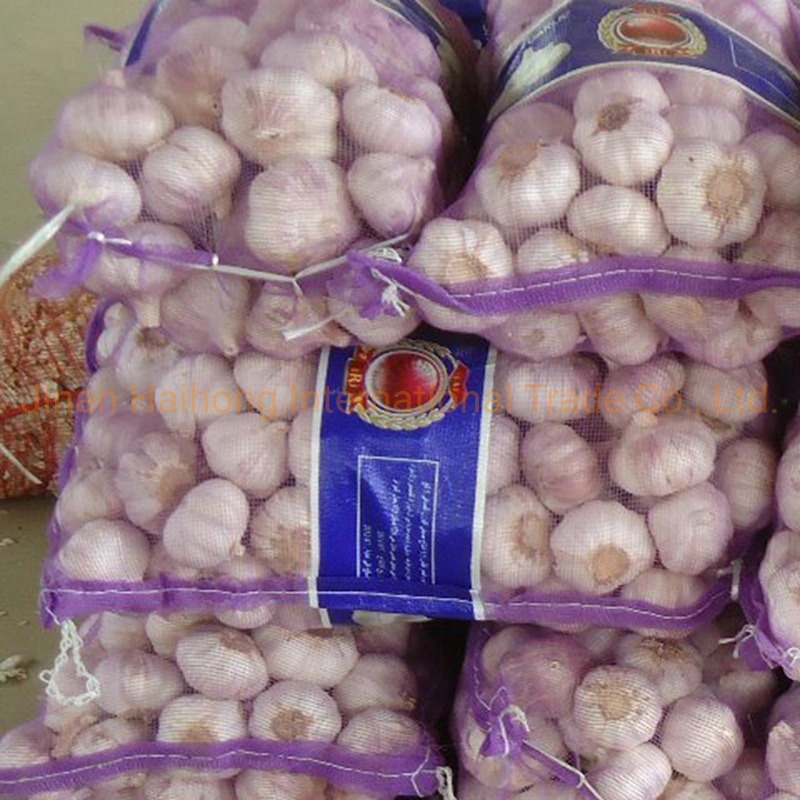 Clean Normal White Garlic in Mesh Bag