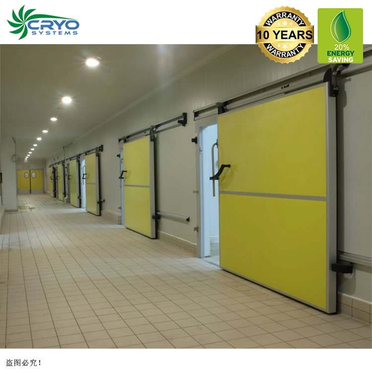 Power-Saving Cold Storage Room for Fish Meat Chicken Fruits Vegetables
