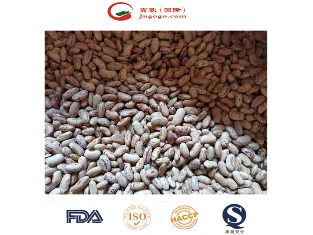 Chinese New Crop Light Speckled Kidney Bean