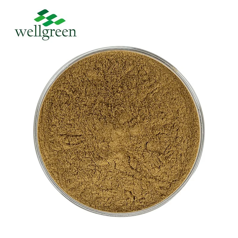 Wellgreen Food Grade Natural Organic Alfalfa Grass Extract Powder Medicago Sativa Alfalfa Meal