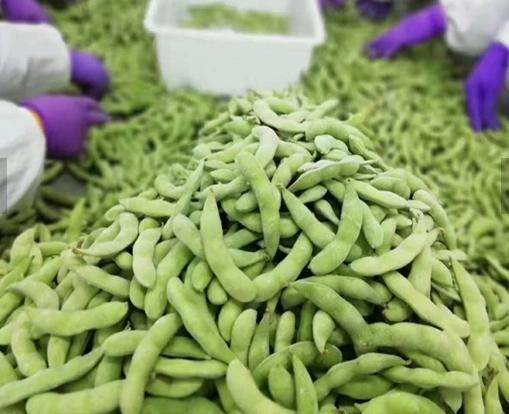 Delicious Cheap Frozen Green Soybean