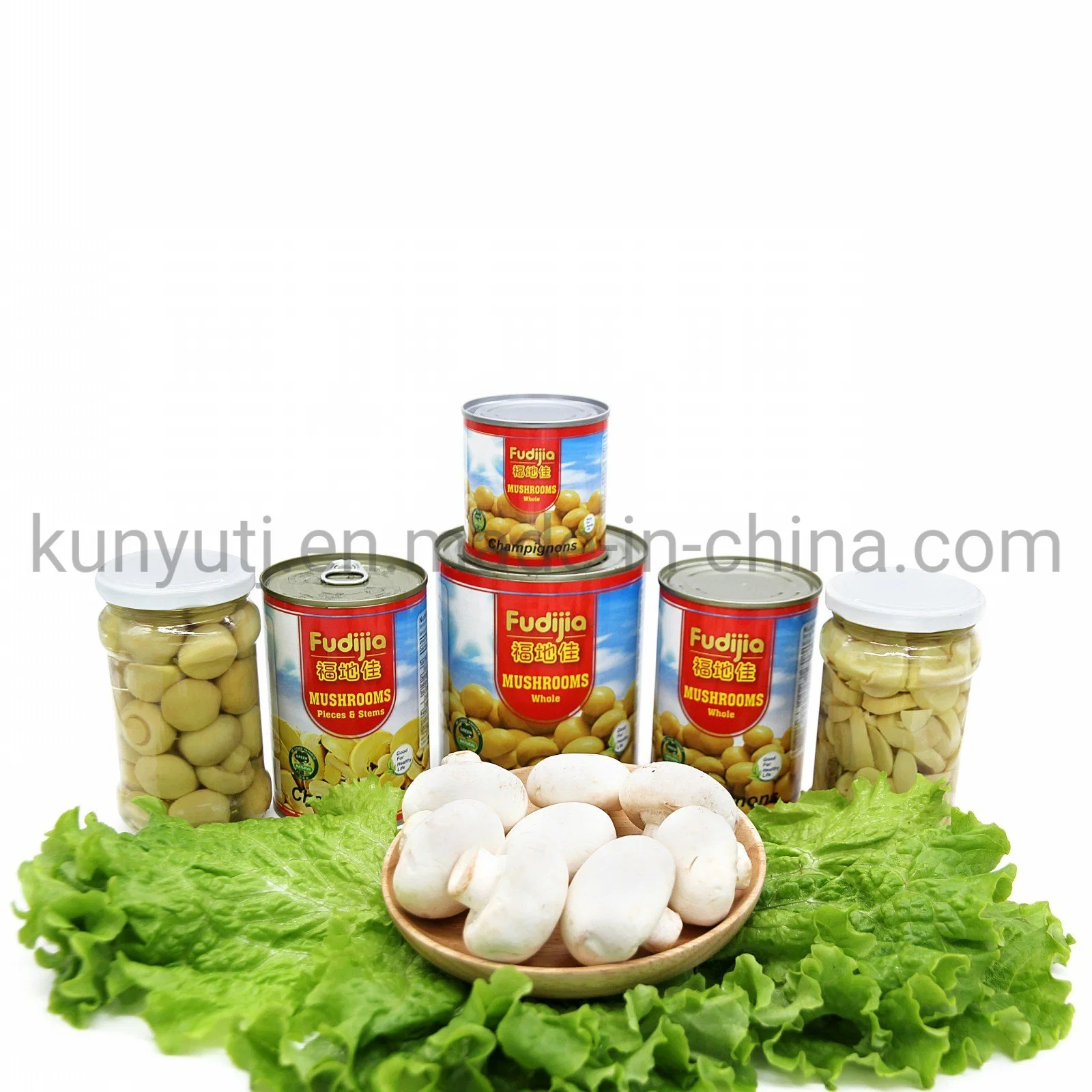 Canned Mushroom with High quality/High cost performance 