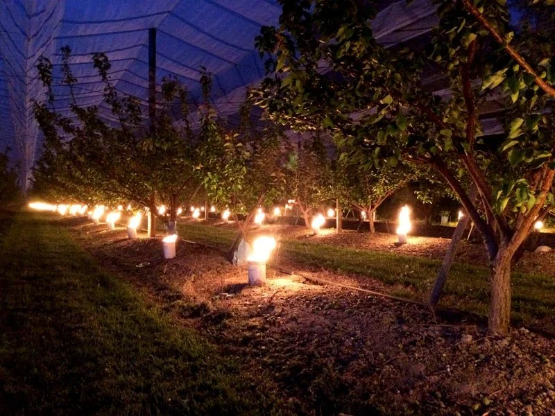 Outdoor Crops Orchard Vineyard Antifreeze Candles