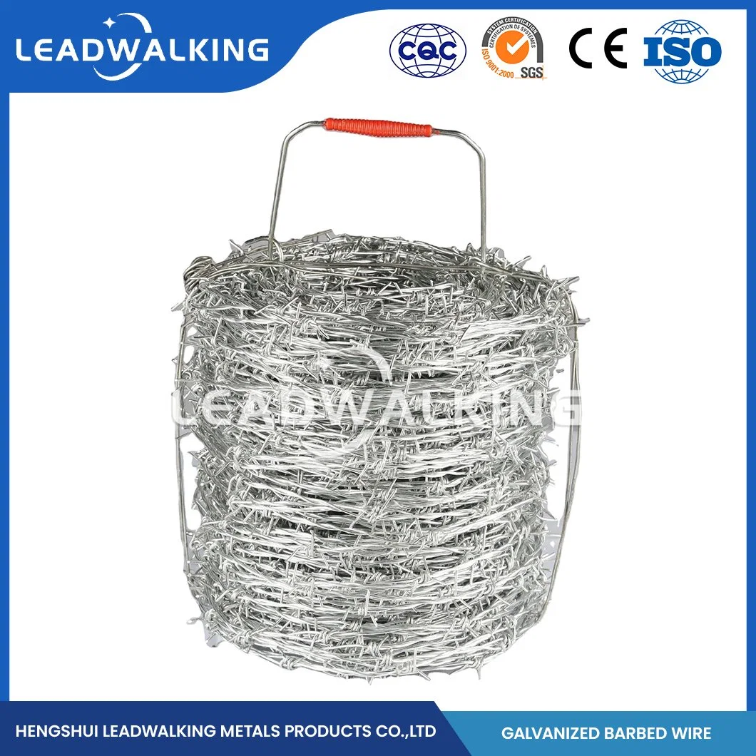 Leadwalking Stainless Steel Razor Barbed Wire Manufacturers High-Quality Razor Ribbon Wire China 7 Strands Steel Wire Galvanized Protective Barbed Wire