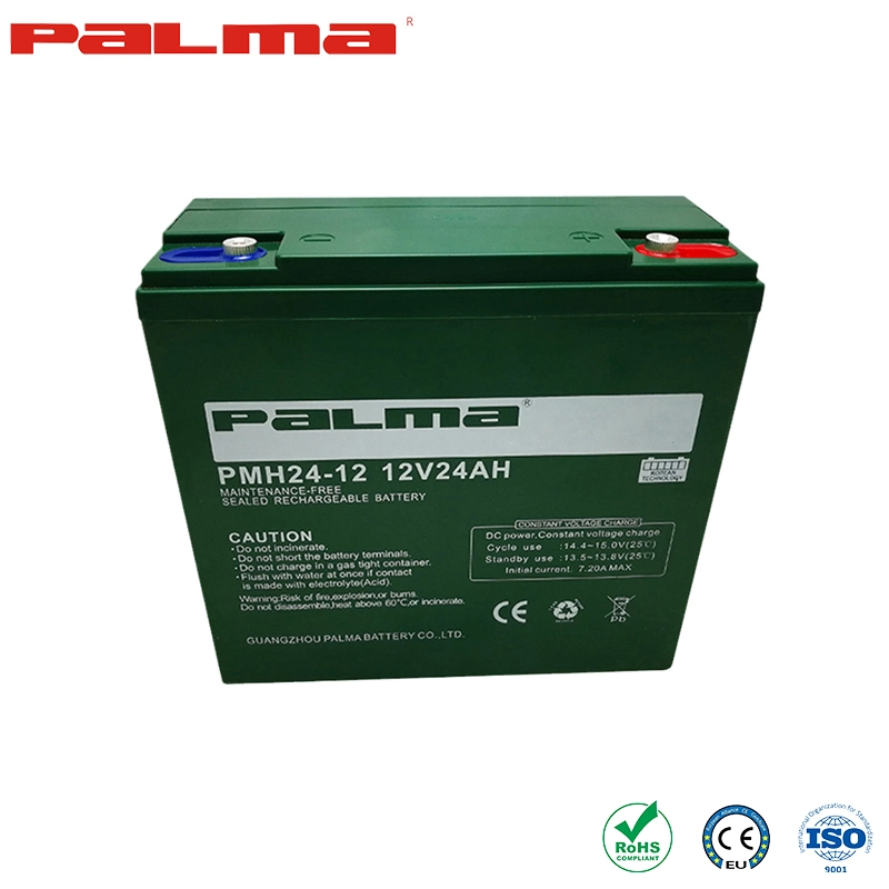 Palma AGM/Gel Battery Ebike Battery Original Factory 12V20ah Electric Vehicle Batteries