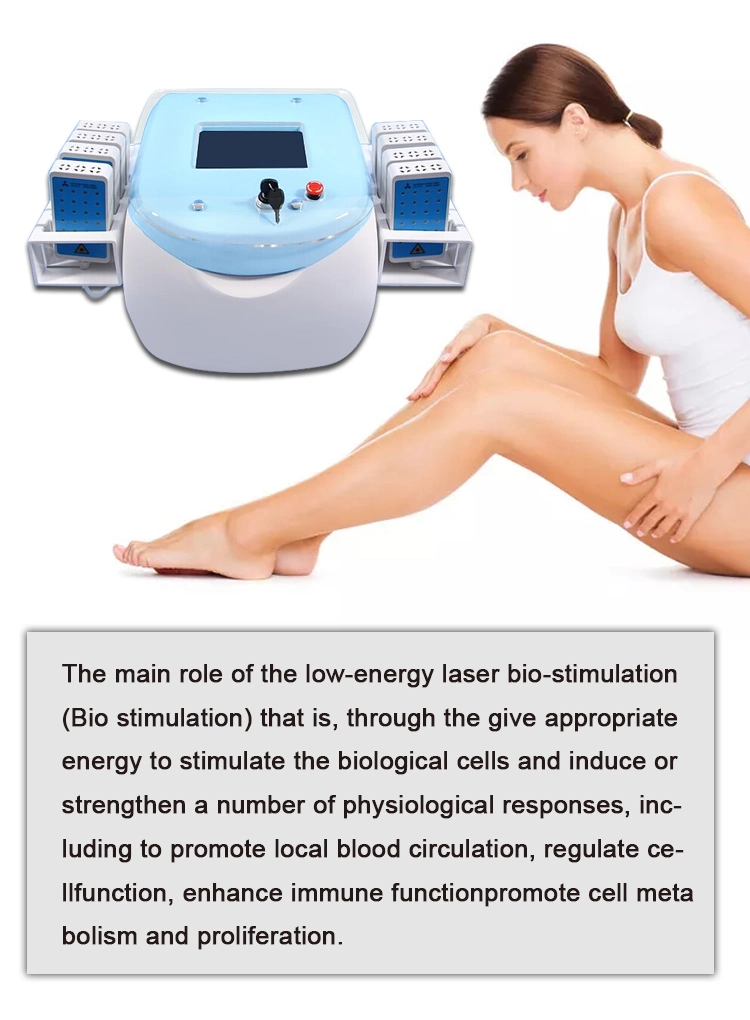 Dual Wavelengths Imported Diode Lasers Fast Fat Reduce Weight Loss Beauty Equipment