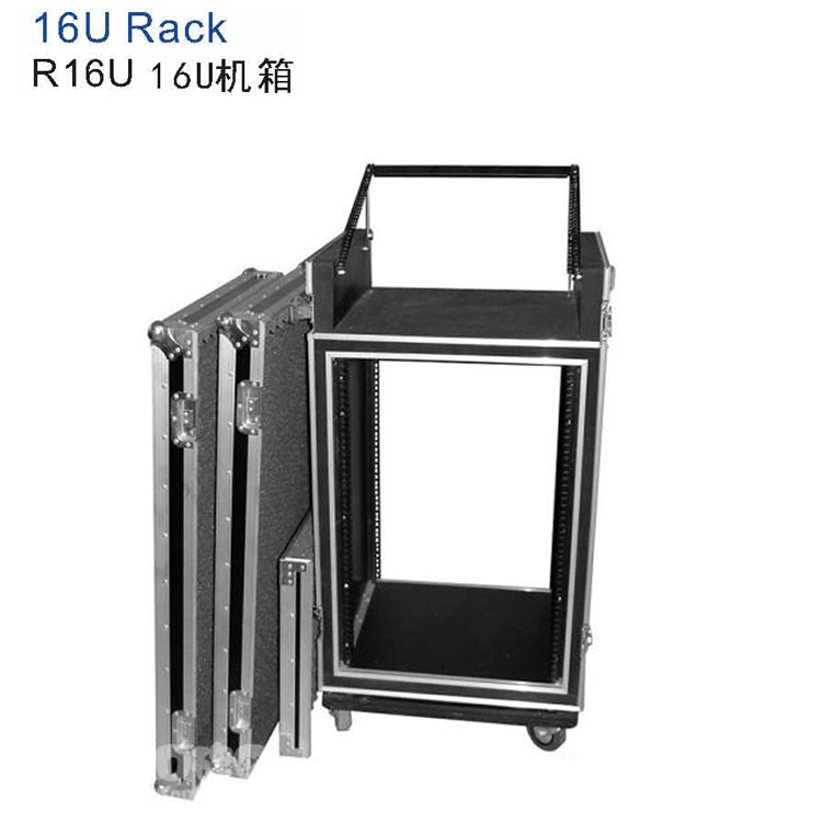 Customized 12u Caixa de alumínio Double-Deck sem/com Rack porta caso