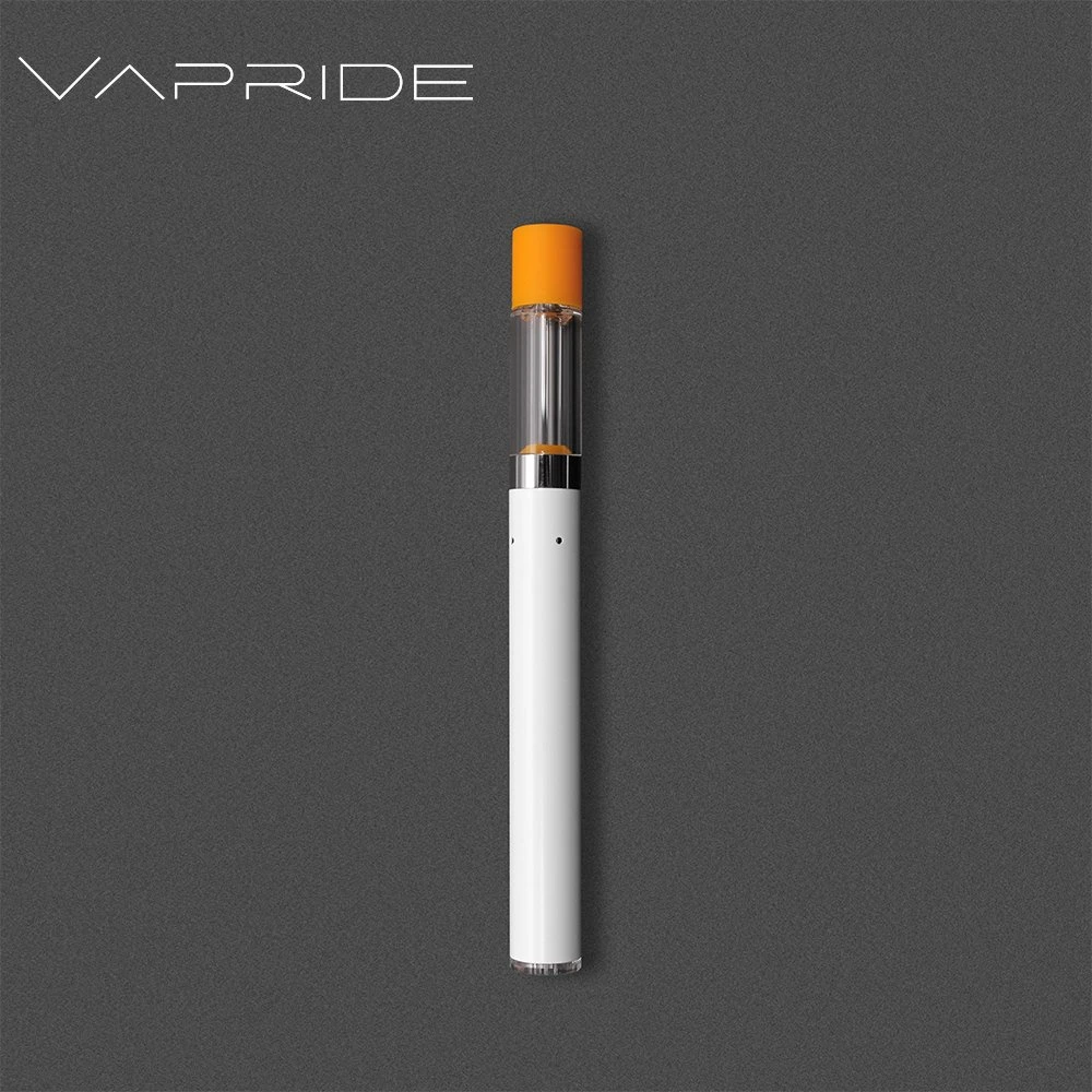 2022 Newest Empty Vape Pen Vaporizer 1ml Starter Kit Ecig Disposable Vape with 530mAh Battery