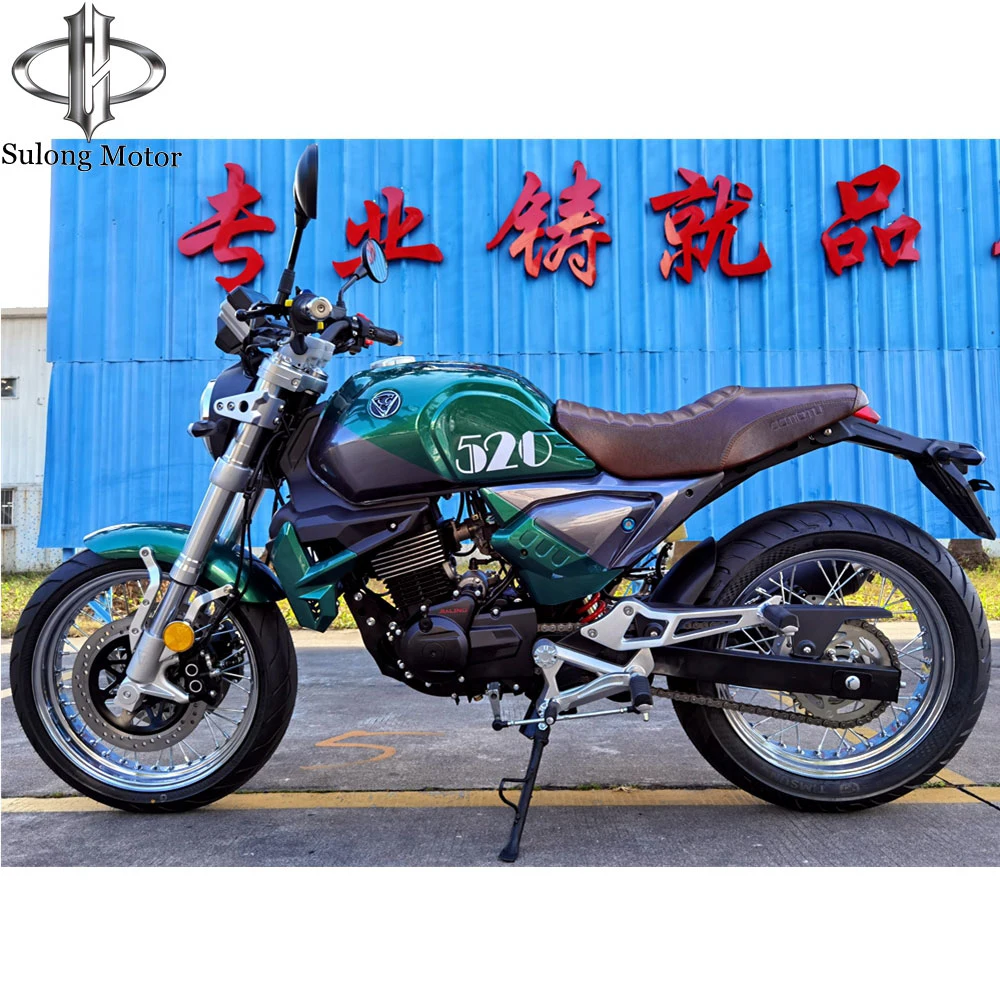 CBS Brake Motorcycle 150cc 200cc 250cc Motorbike