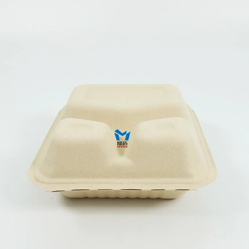 Spot Environmentally Friendly Biodegradable Take-out Pulp Packing Box