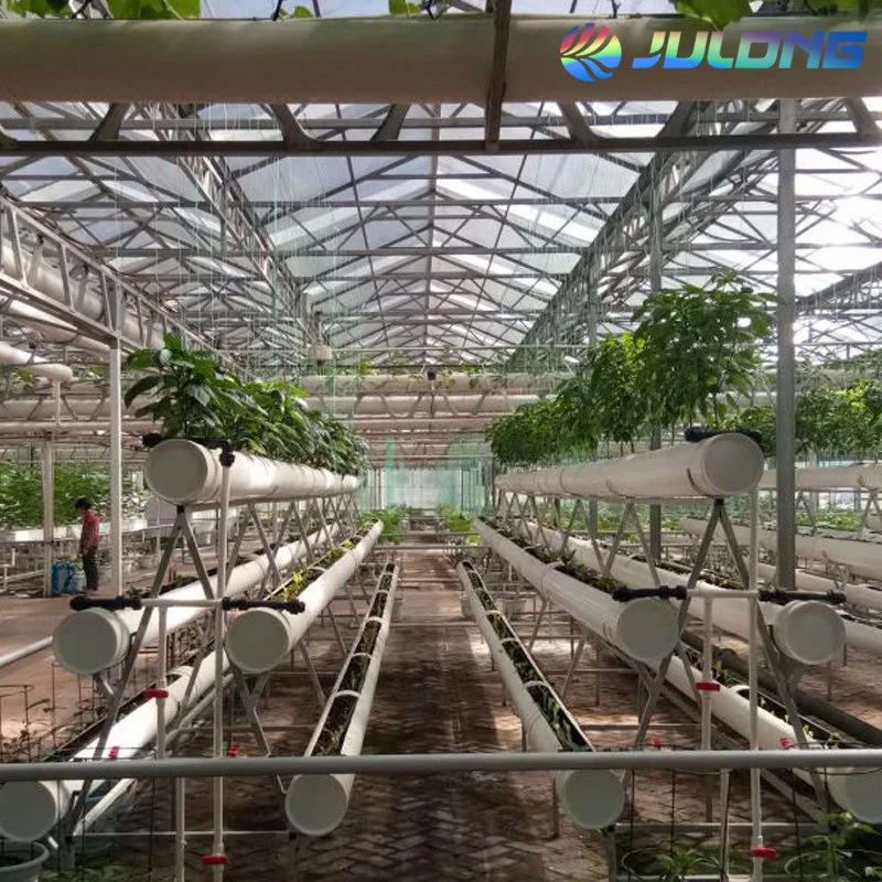 Double Layers Hollow Tempered Glass Greenhouse Used for Tomatoes/Strawberry/Vegetables/Flower/Seedlings