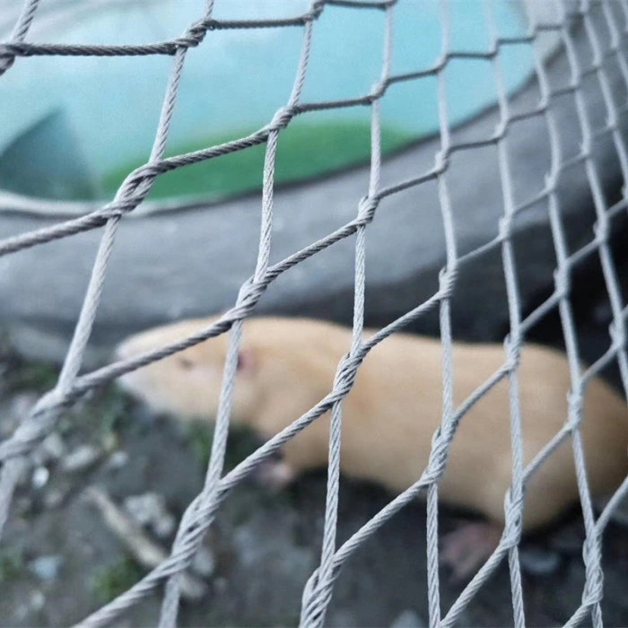 Acero inoxidable Zoo Animal Enclosure Red de malla de cuerda
