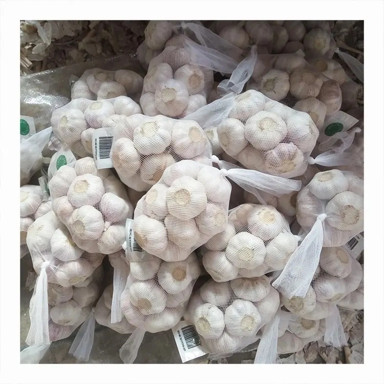 China a bajo precio el ajo a granel 10kgs 55/60cm - Ventas en caliente