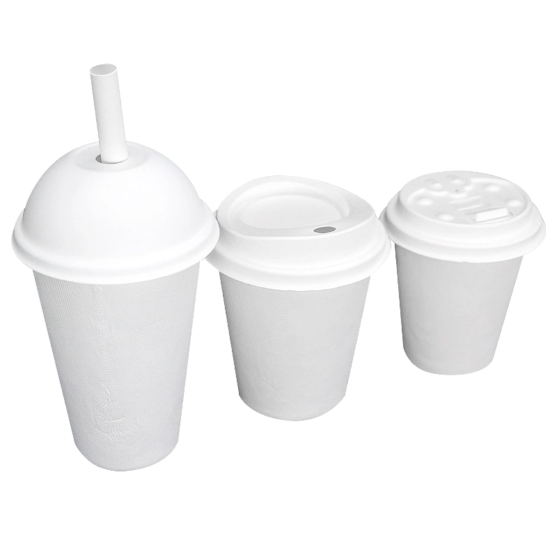 Wholesale/Supplier Disposable Bagasse Coffee Paper Cups 8oz with Lid