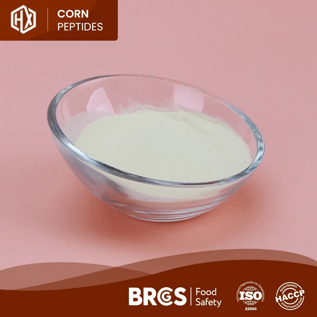 Haoxiang China Manufacturer Supply Organic Corn Protein Peptide Meal 46% 48% 50% Cornbean Protein Fiber Isolate Concentrate Powder Bulk High Purity Corn Peptide