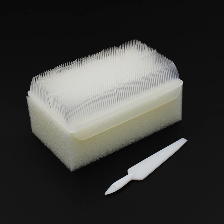 Sterile Disposable Medical Surgical Hand Washing Cleaning Scrub Brush with Nail Cleaner