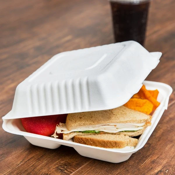 Biodegradable Container Food Takeaway Packaging Sugarcane Bagasse Pulp Paper Lunch Box