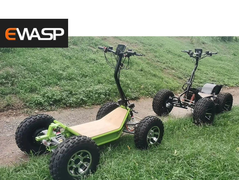 مونستر 2 مقعد رينلي 6000W 4X4 Sport Buggy /Go Kart