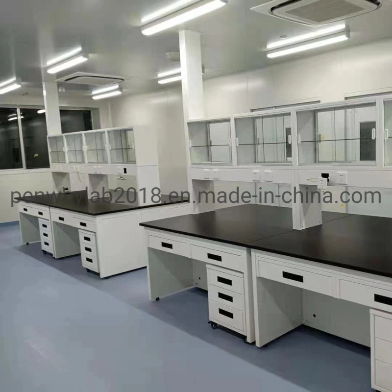 Durable Microbiology Laboratory Chemical Lab Cabinet Furniture