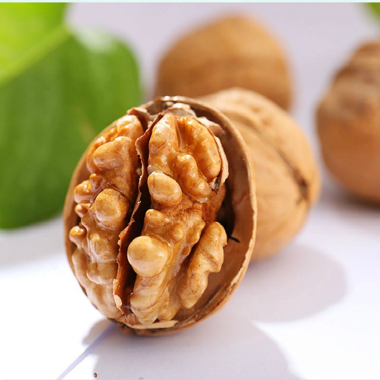 Wholesale/Supplier New Crop Walnut Raw Walnut with High quality/High cost performance 