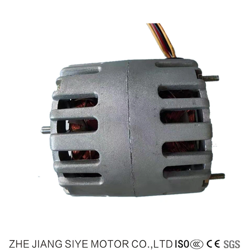 AC Single Phase Small Power Mini Motor