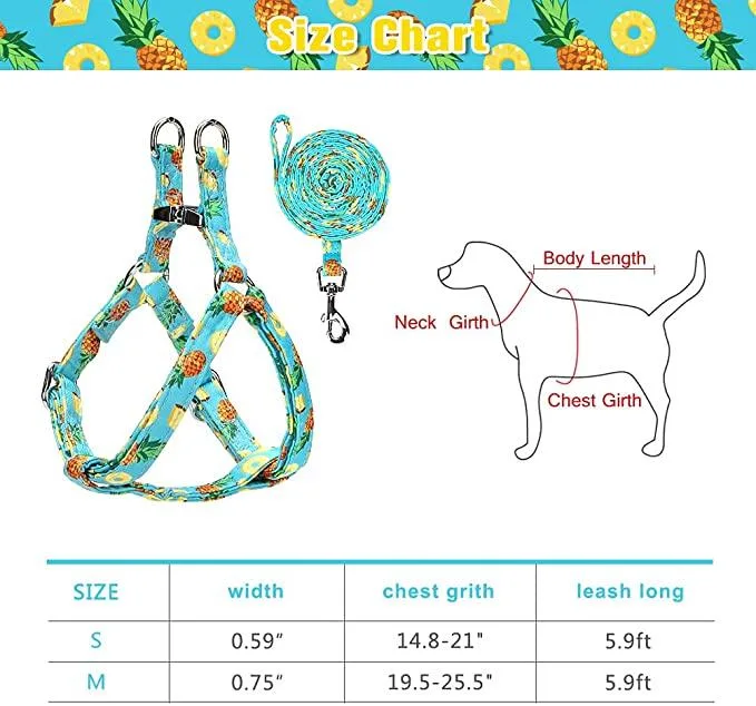 High quality/High cost performance  Easy Carry Pet Clothes 3 in 1 Summer Dog Harness