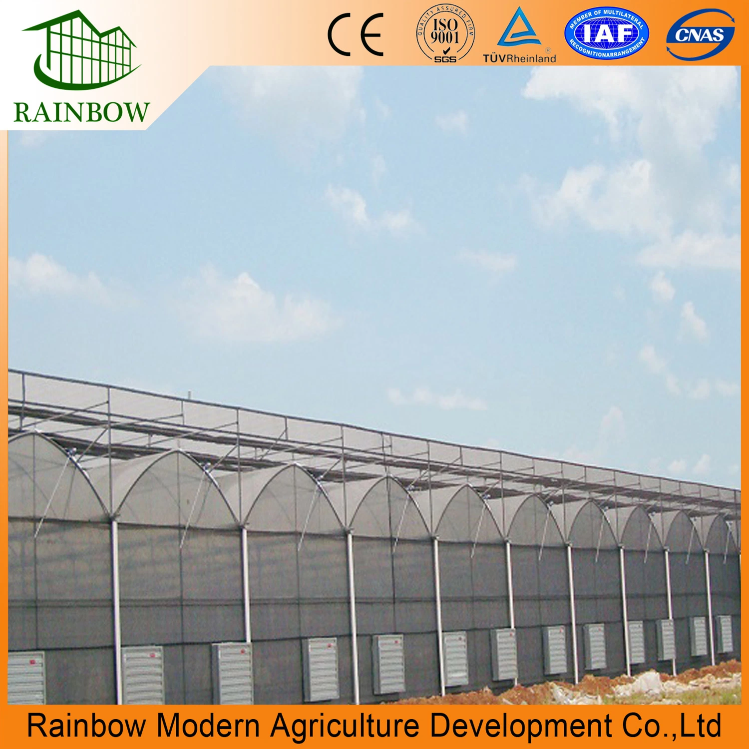 Industrial Multi Span Polytunnel Plastic Greenhouse for Uzbekistan