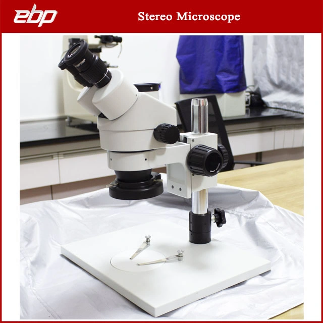 Optical Industries Small Stereo Microscope