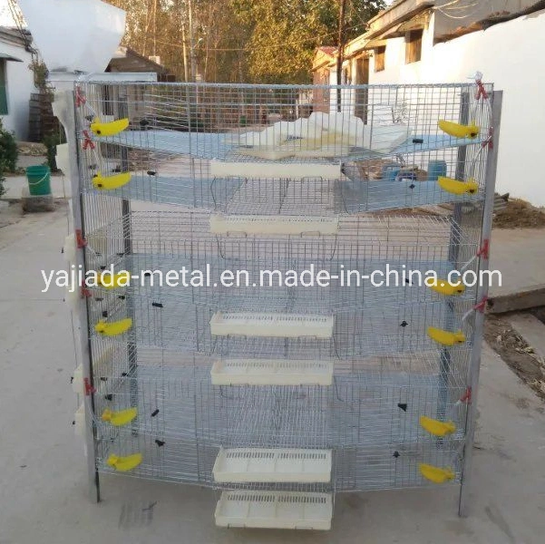 Easy Assembled Quail Cage Factory