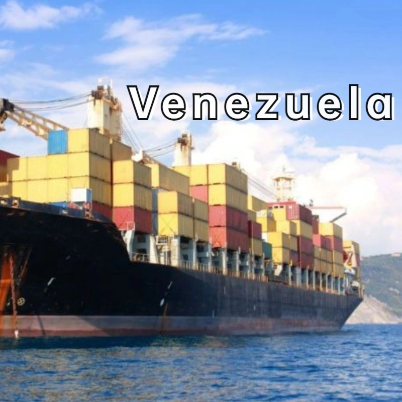 China to Venezuela, Silicone Folding Cup, Sea Freight.