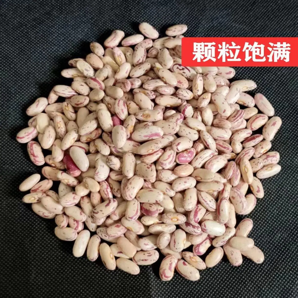 Xinjiang Pinto Bean New Crop Light Speckled Kidney Bean Long/Round Shape