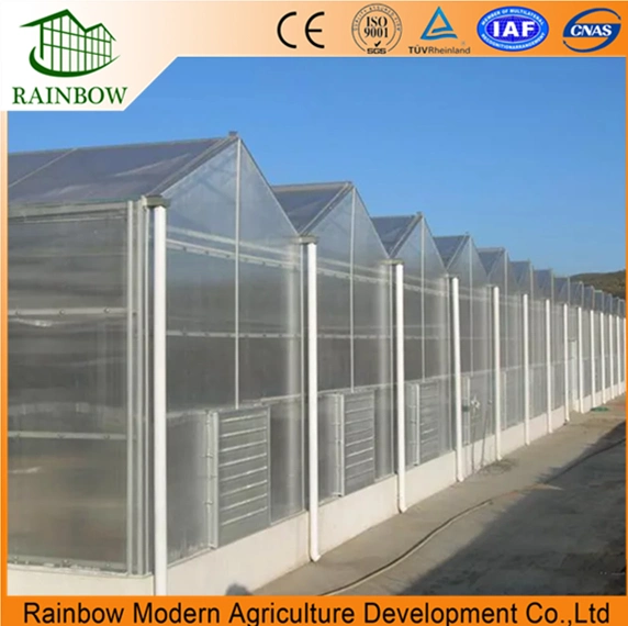 PC Sunshine Plate Passive Solar Greenhouse for Agriculture Used