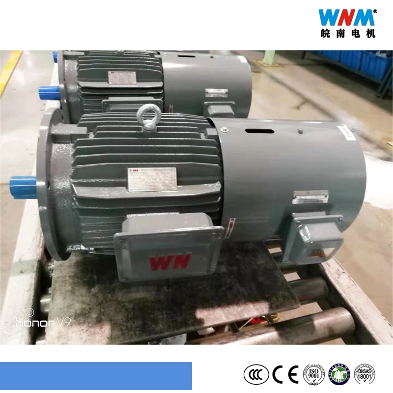 Wnm Factory Electric Products of Three Phase AC Induction Inverter Variable Frequency Drive Motors for Different Industry Applications