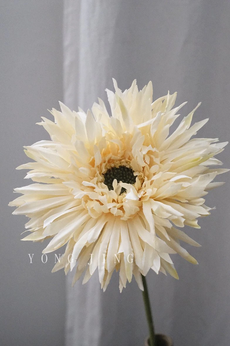 Ja230036 Decorative Barberton Daisy Sunflower High Quality Artificial Flowers Silk Flower Yellow Color for Wedding Home Deco Garden Decoration Gift