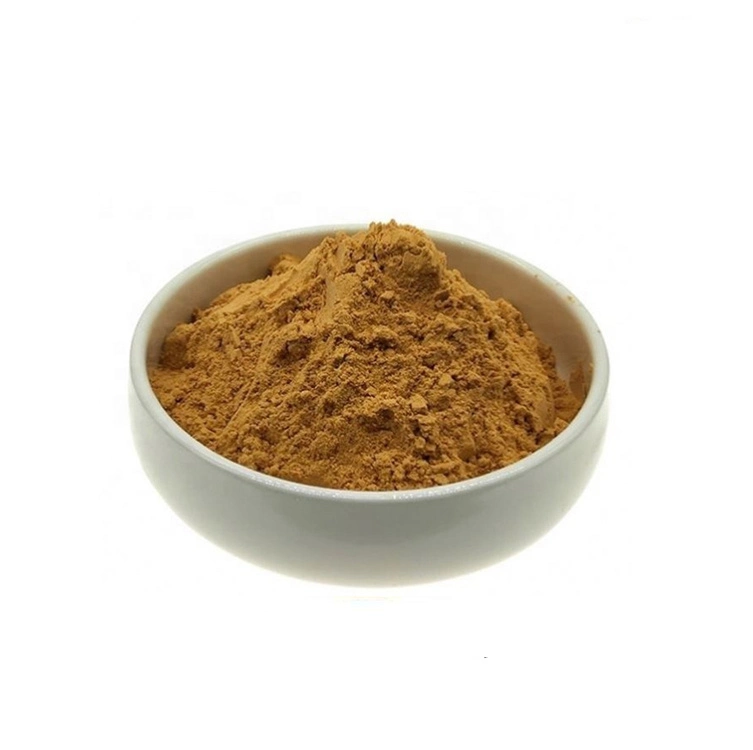 Plant Extract Arnica Montana Flower Extract /Arnica Montana L with Factory Price