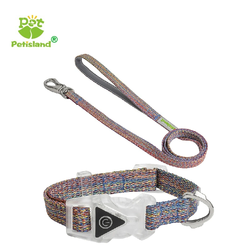 Factory Price Pet Supplies Reflective Wire Neoprene Handle Professional LED Dog Collar with Leash Set