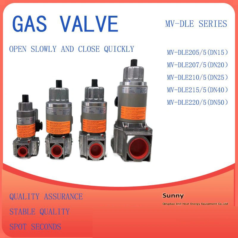 Gas Valve Replacement LPG Gas Solenoid Valve