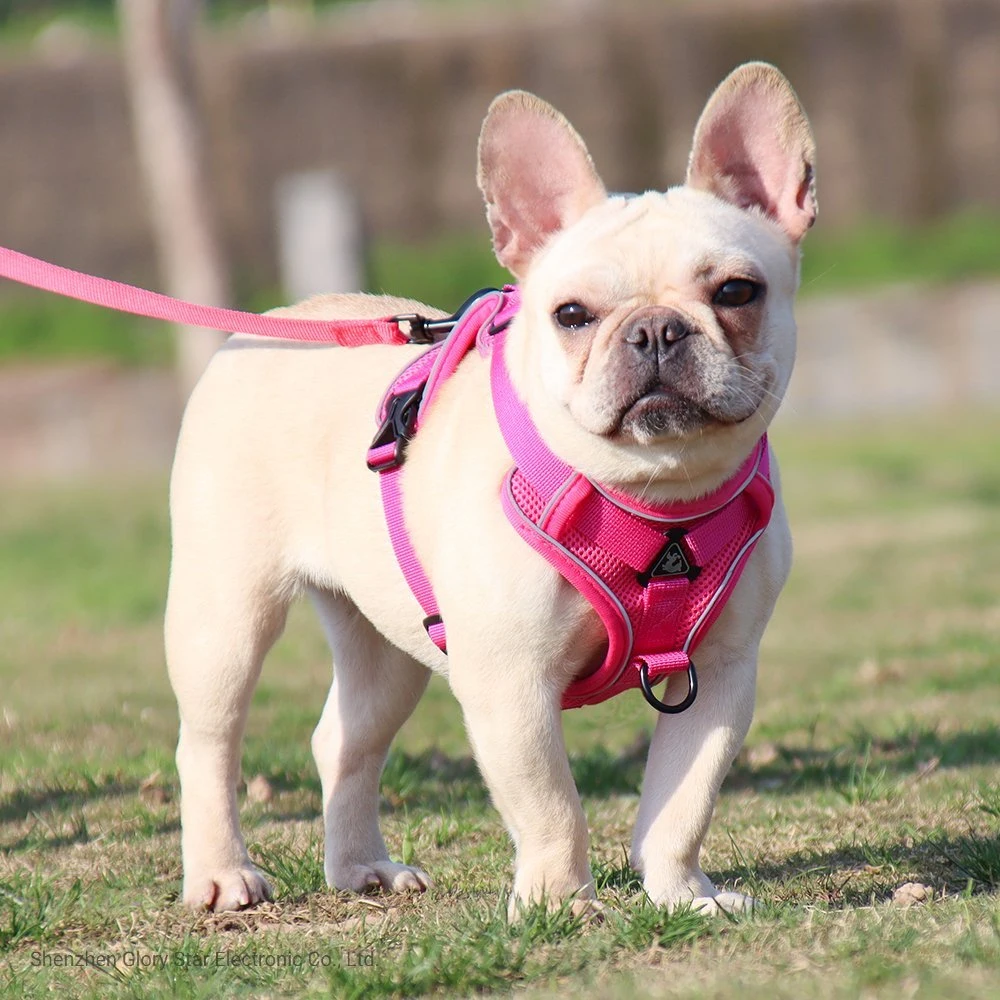 Adjustable Reflective Pet Vest Dog Harness Leash Set Pet Products