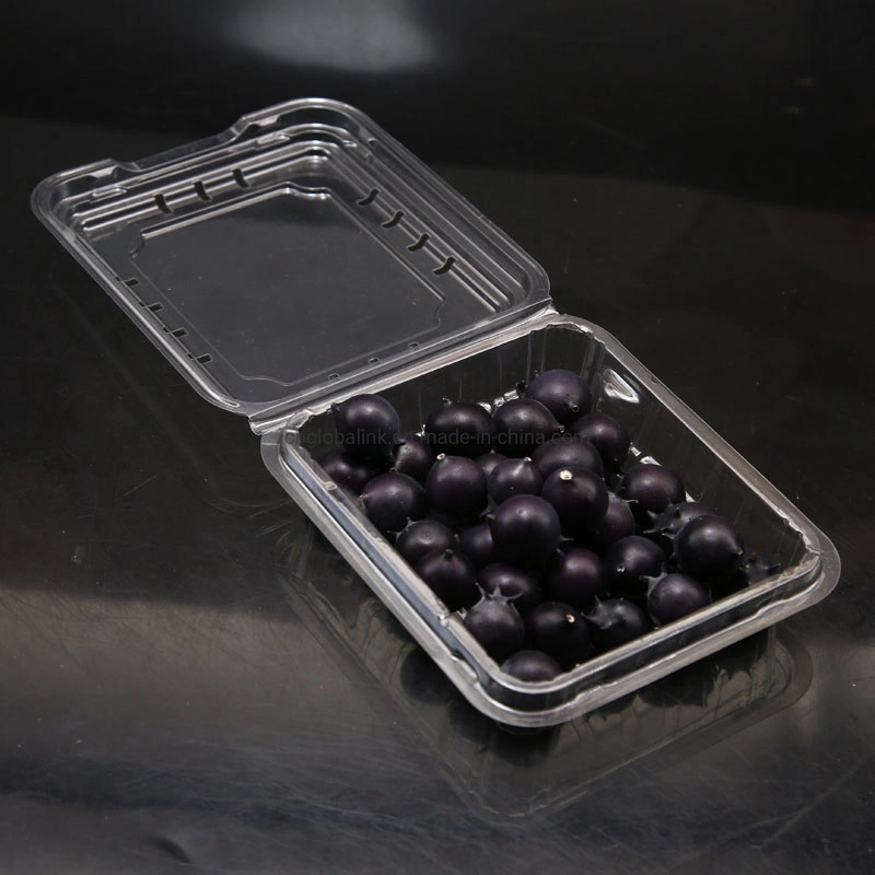 125 Grams Blueberry Clamshells Plastic Pet Fruit Packaging Clamshells Blister