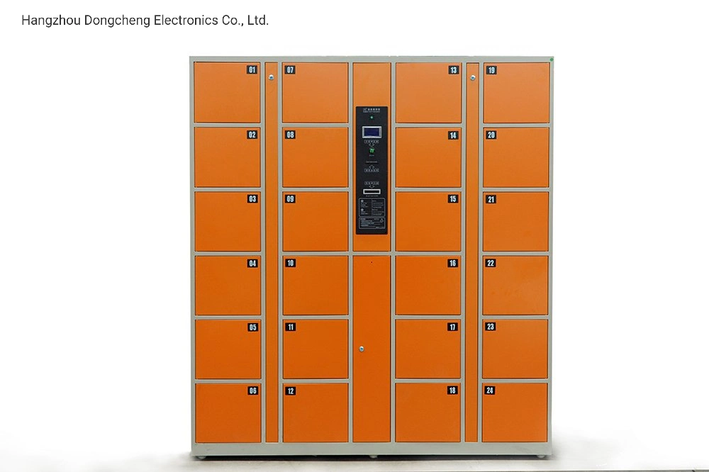Plywood Case New DC CE, ISO Face Recognition Electronic Locker