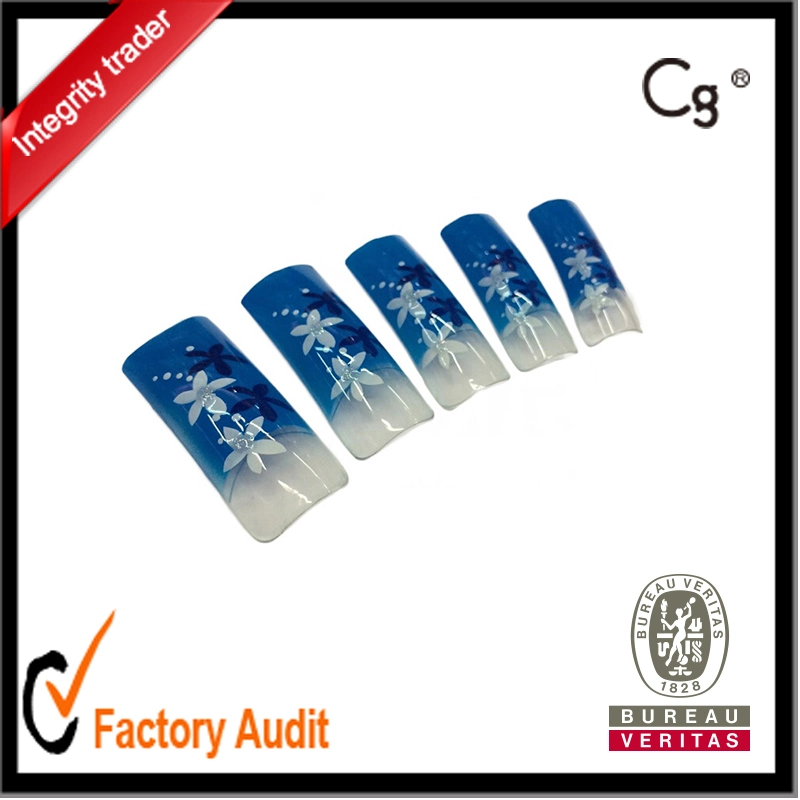 Hot Sale 70PCS Salon Nail Tip More Design Avaiable