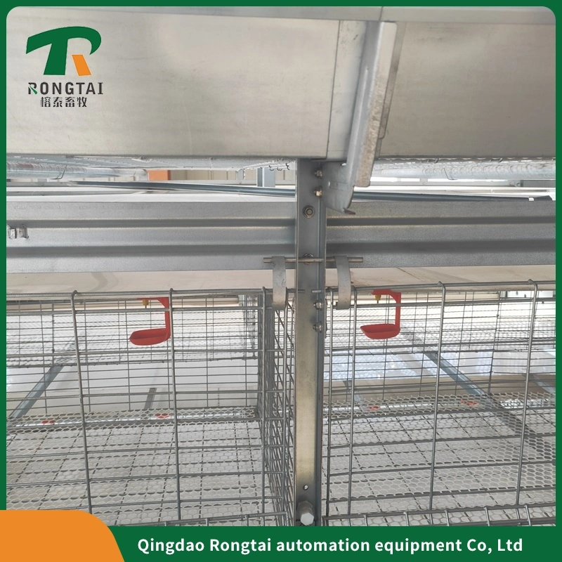 Factory Price Automatic Galvanized Farm Equipment Livestock Poultry Bird Battery Chicken Cages for Feeding Drinking for Chicken House/