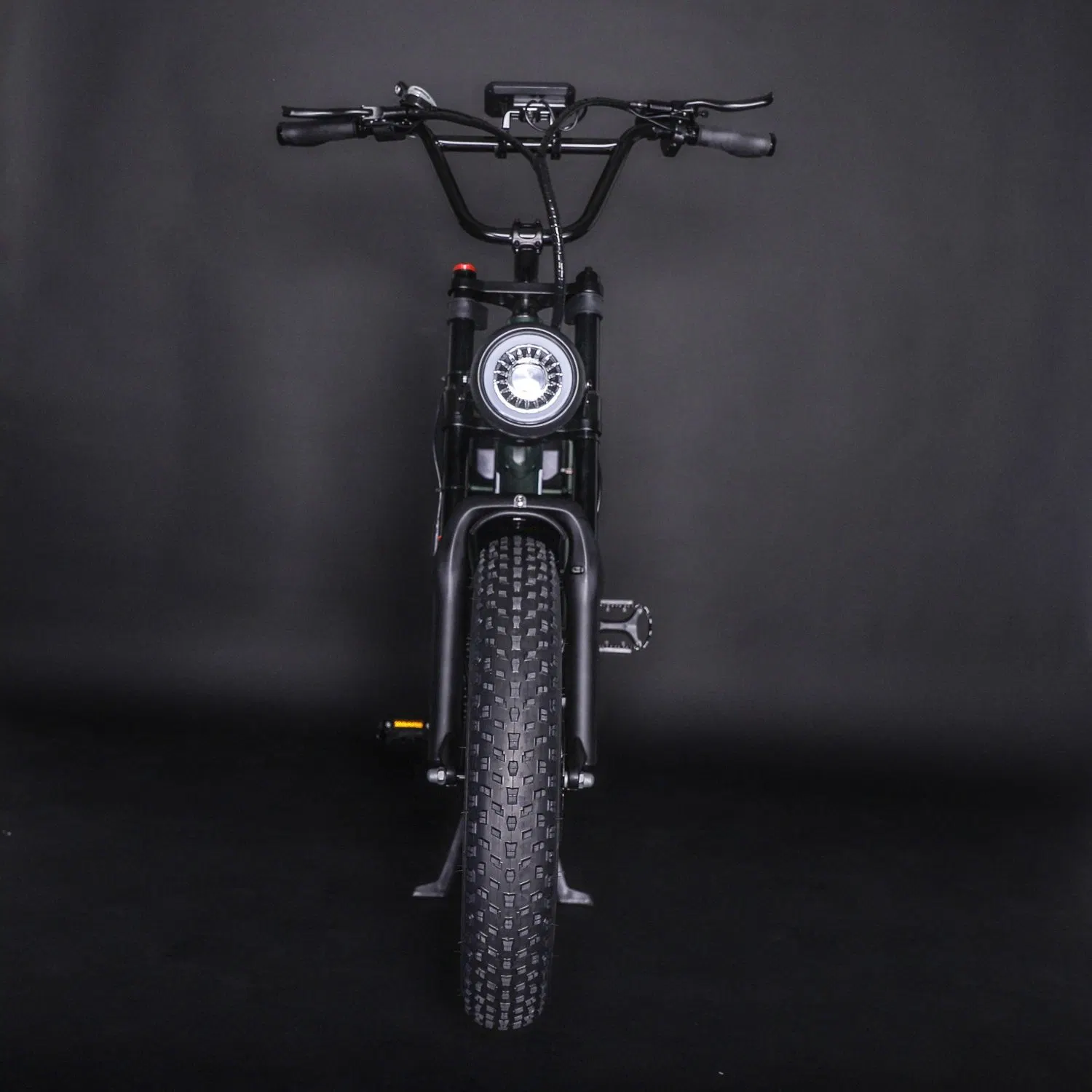 Mise à niveau de la montagne de pneus de graisse Ebike off-road Bike Sport Ebike Electric e ville vélo électrique 1000W E-Bike Fatbike