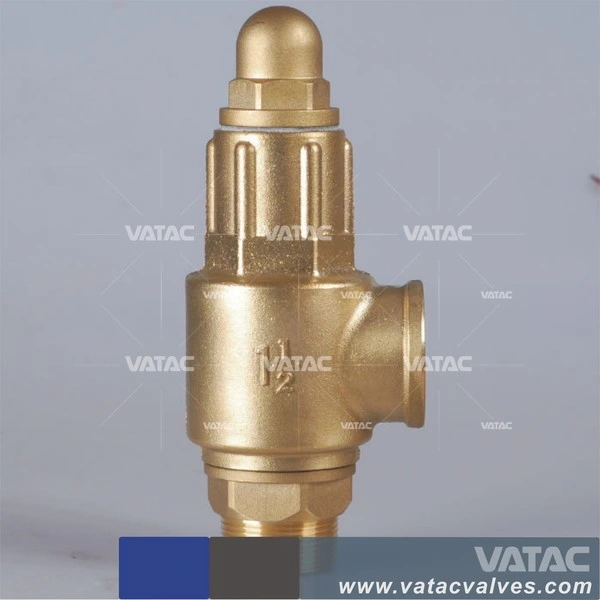 C96800 Spring Loaded Safety Relief Valve