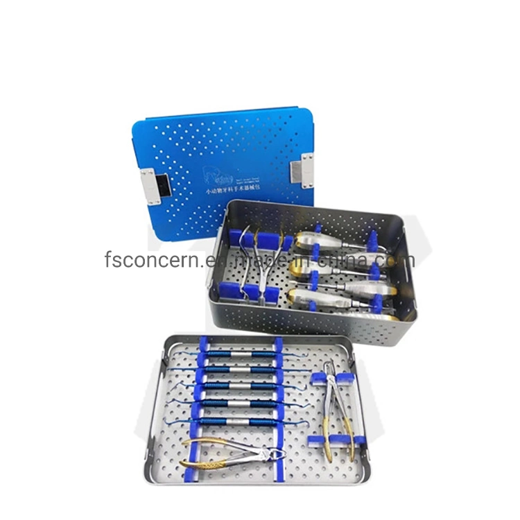 Medical Veterinary Clinic Dental Winged Elevator Animal Equine Dental Instruments Surgical Tools