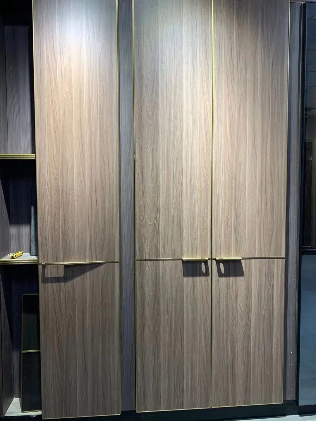 Elegante Aluminium-Garderobe Im Neuen Design